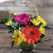 Small Floral Arrangement - Orange and Hot Pink Mini Gerber Daisies with Yellow Cushion Mums with Greenery in a small glass cube